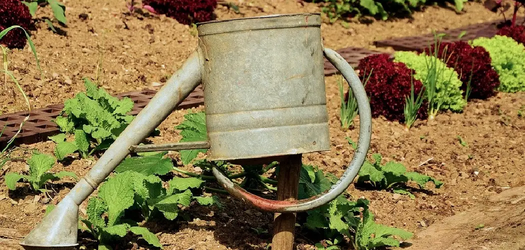 How to Use Watering Stakes