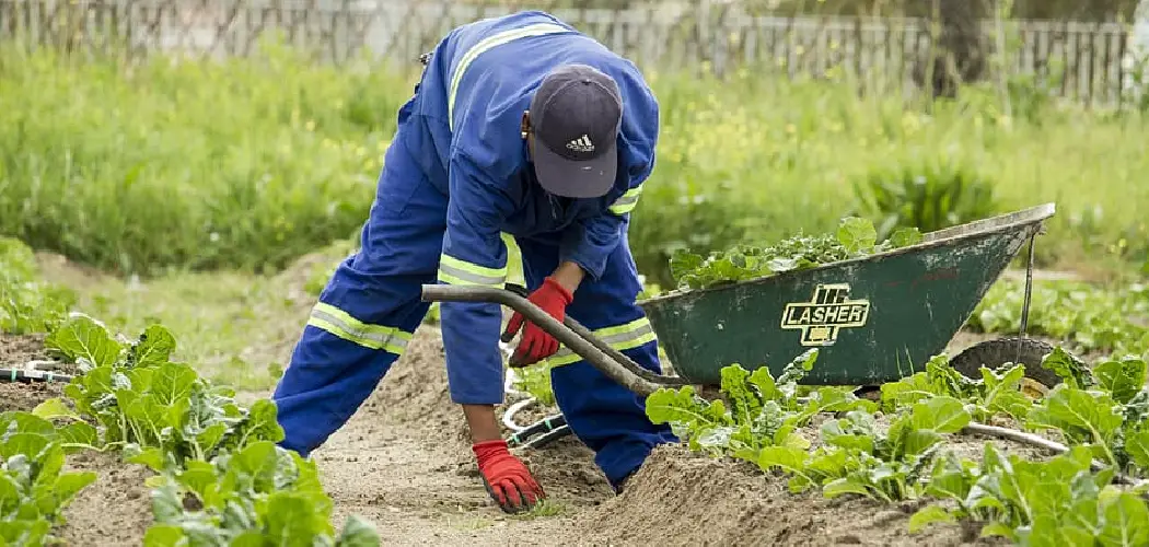 How to Wash Gardening Gloves