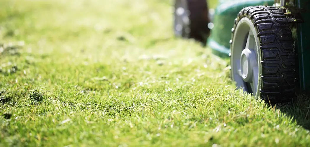 How to Clean a Lawn Mower Fuel Filter