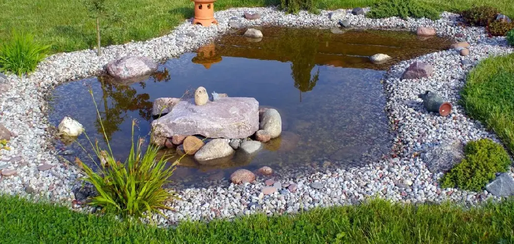 How to Clean a Small Pond