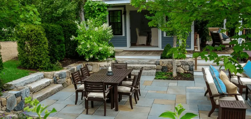 How to Decorate a Backyard with Plants