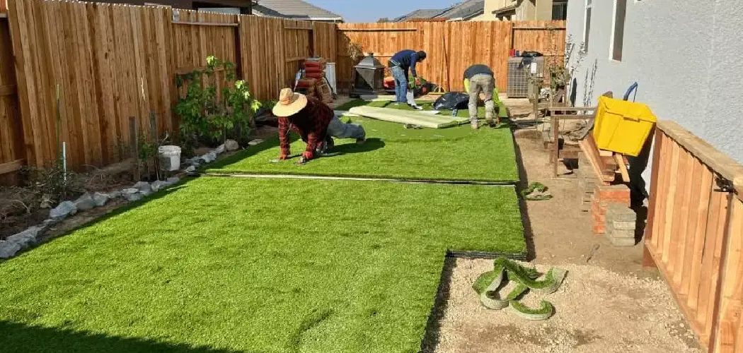 How to Make a Backyard Eco-friendly