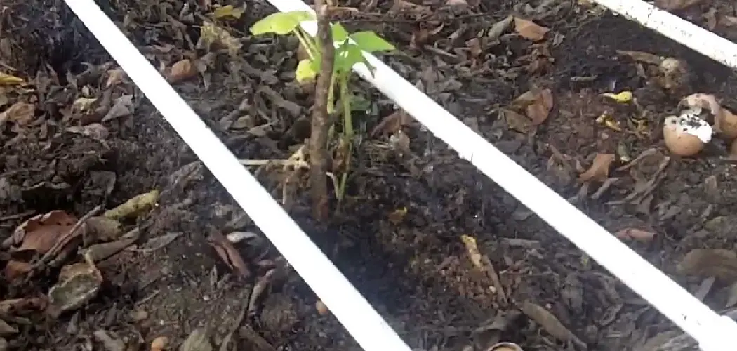 How to Make a Soaker Hose From PVC Pipe