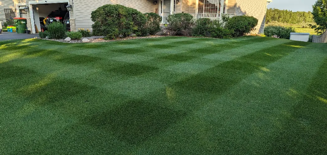 How to Apply Liquid Iron to Lawn