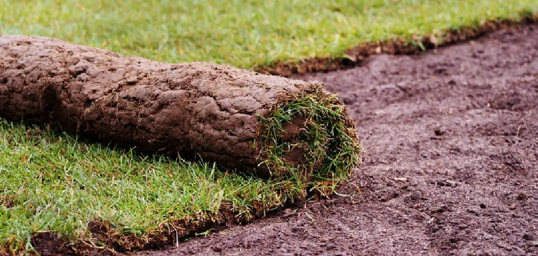 How To Improve Clay Soil Lawn