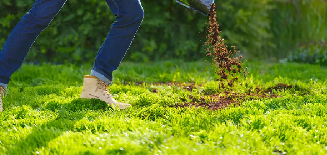 How To Spread Peat Moss on Lawn
