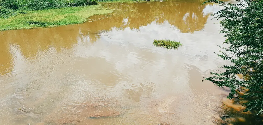 How To Clear Up Muddy Pond Water