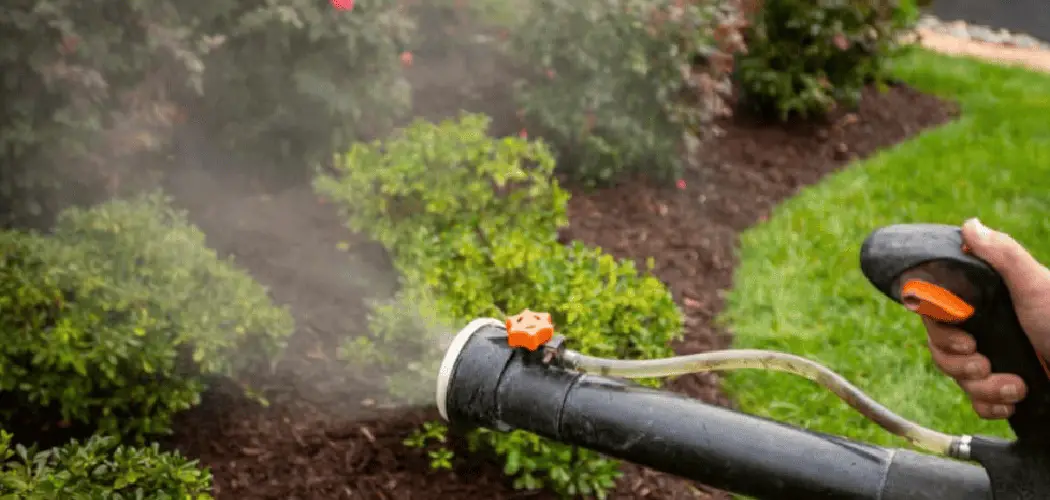 How To Get Rid of Gnats in the Backyard