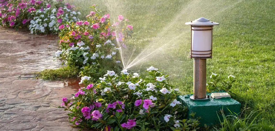 How to Convert Lawn to Native Plants