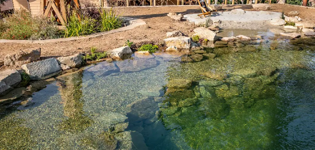 How to Turn a Pond Into a Natural Swimming Pool