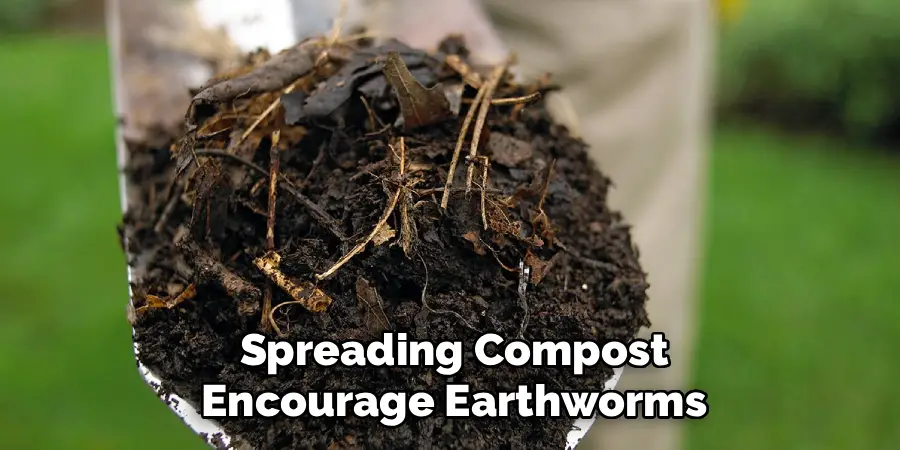 How To Improve Clay Soil Lawn | 7 Easy Steps (2026)